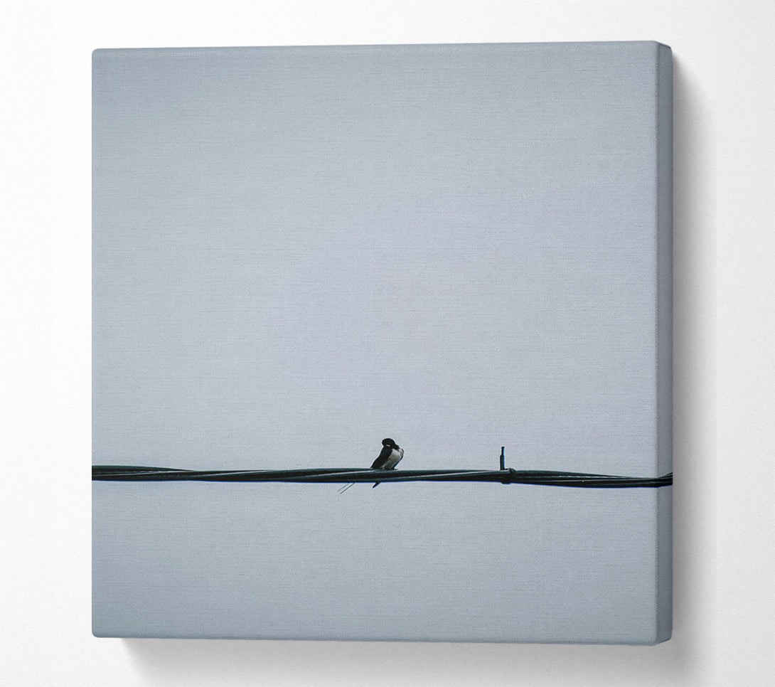 A Canvas Print of Gray Bird On Wire Canvas Art
