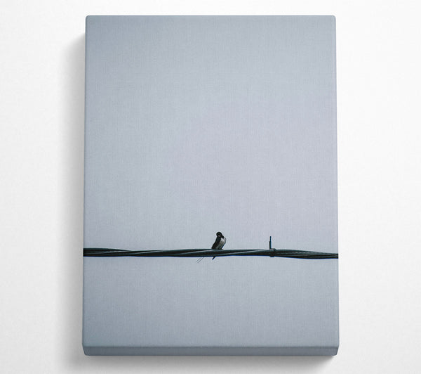  A Canvas Print of Gray Bird On Wire Canvas Art