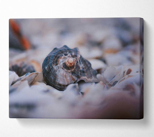  A Canvas Print of Sea Shell In Blue Canvas Print