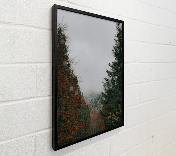 Green Forest Mist