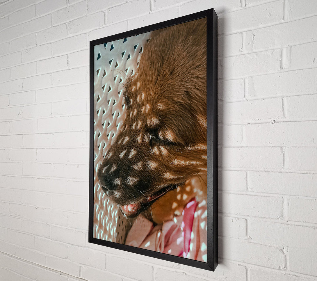  A Canvas Print of Golden Light Slumber Canvas Wall Art