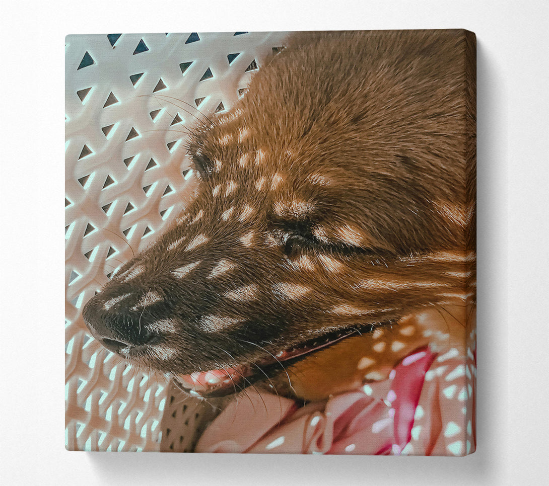  A Canvas Print of Golden Light Slumber Canvas Wall Art