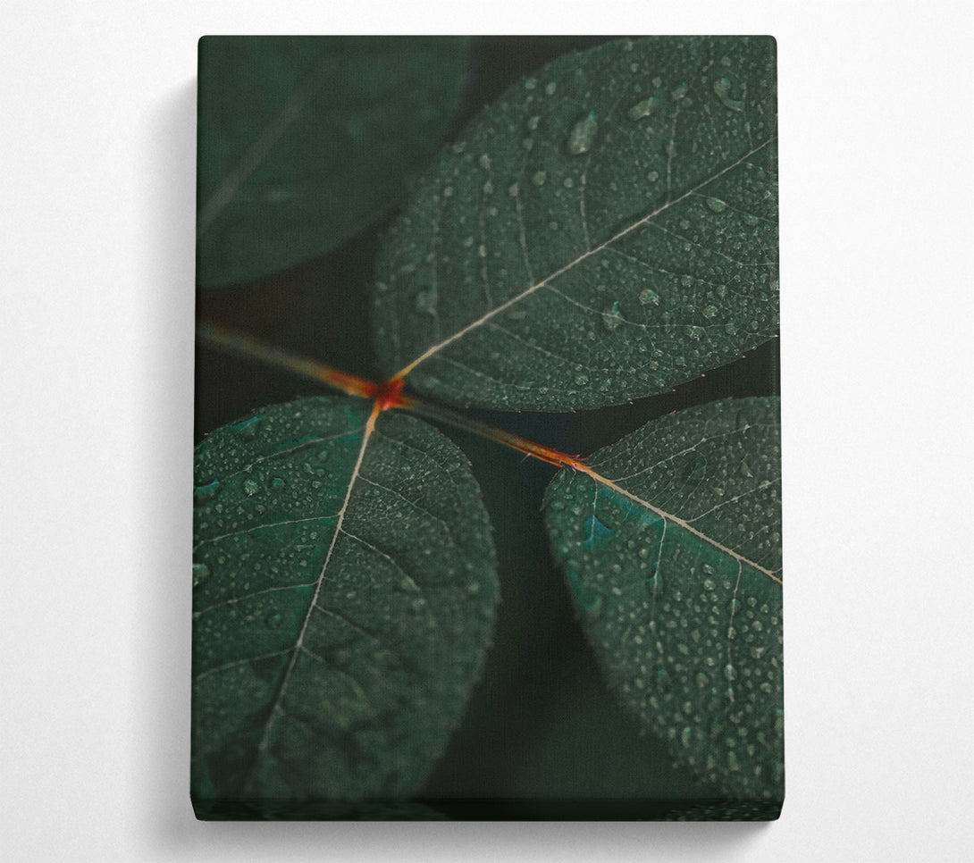  A Canvas Print of Emerald Dew Drops Canvas Wall Art