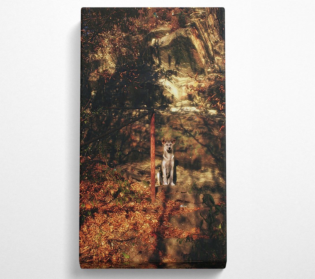  A Canvas Print of Golden Dog In Shadows Canvas Print