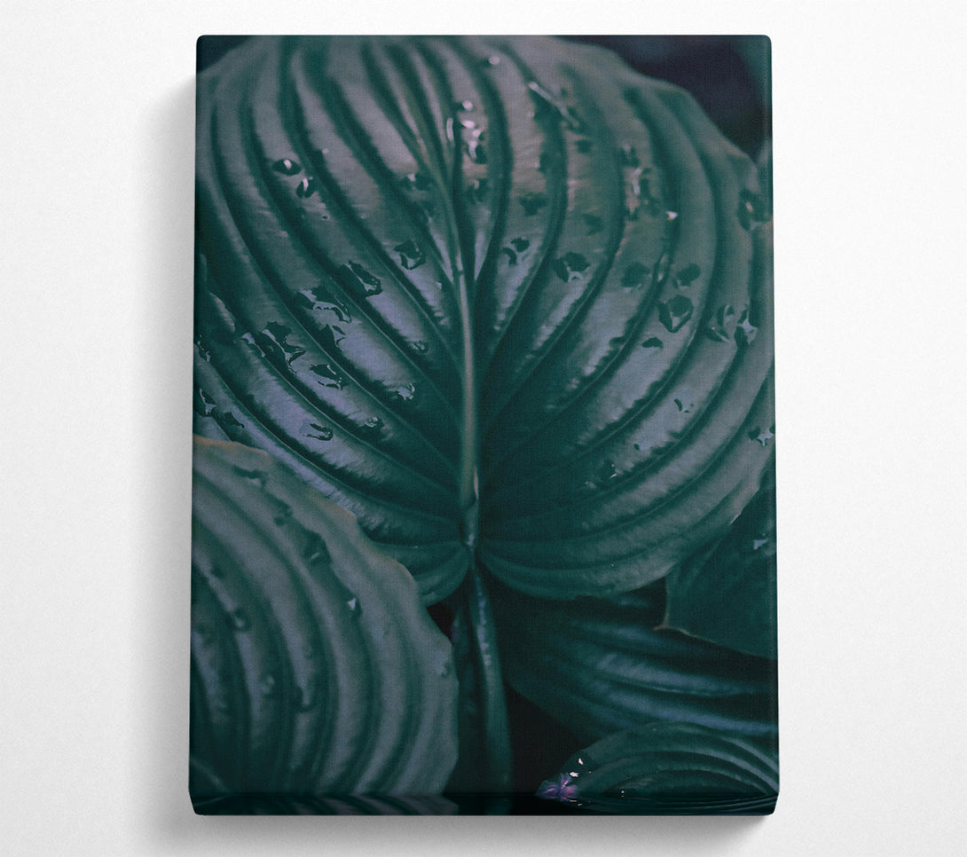  A Canvas Print of Emerald Leaf Veins Canvas Print