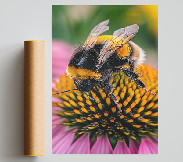 Pink Fuzzy Bumblebee Print