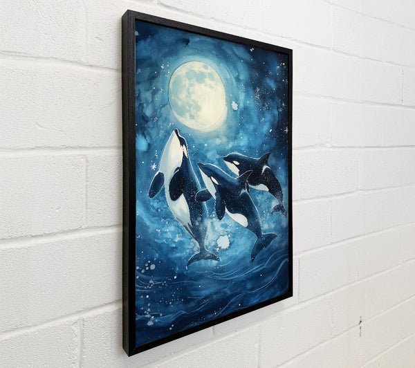 Blue Moon Orcas