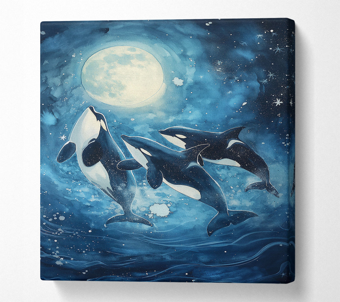  A Canvas Print of Blue Moon Orcas Canvas Print