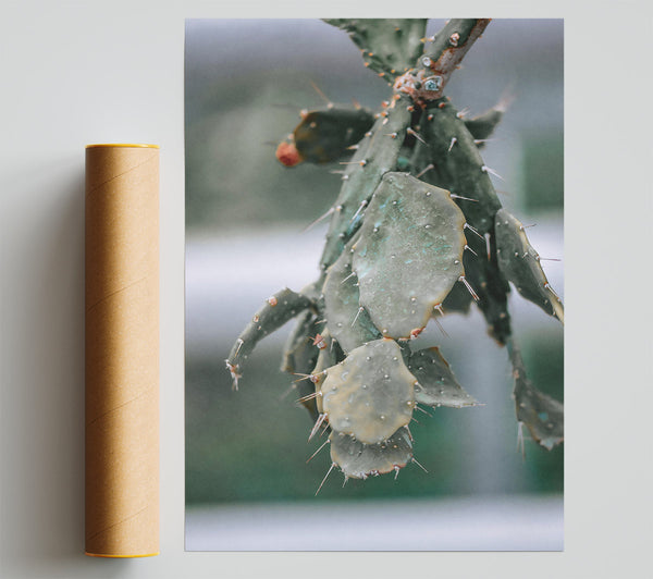 Green Prickly Pad Poster