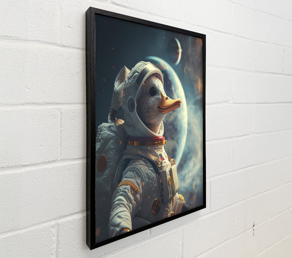Duck In Space