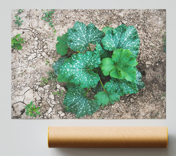 Emerald Patchwork Bloom Giclee Print