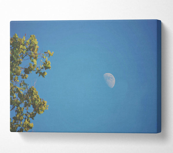  A Canvas Print of Blue Sky Crescent Moon Canvas Print