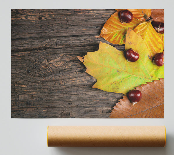 Brown Autumn Leaves Poster