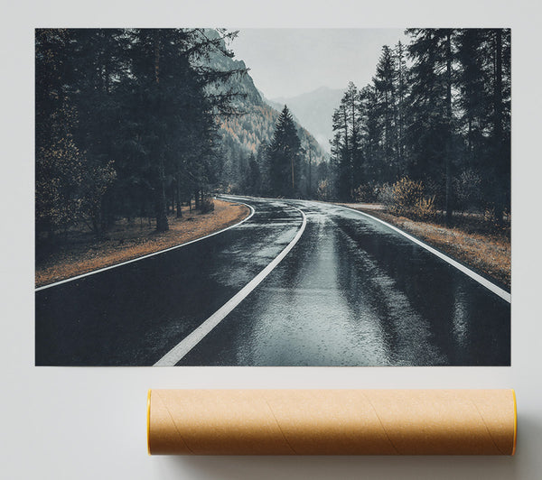 Grey Forest Road Print