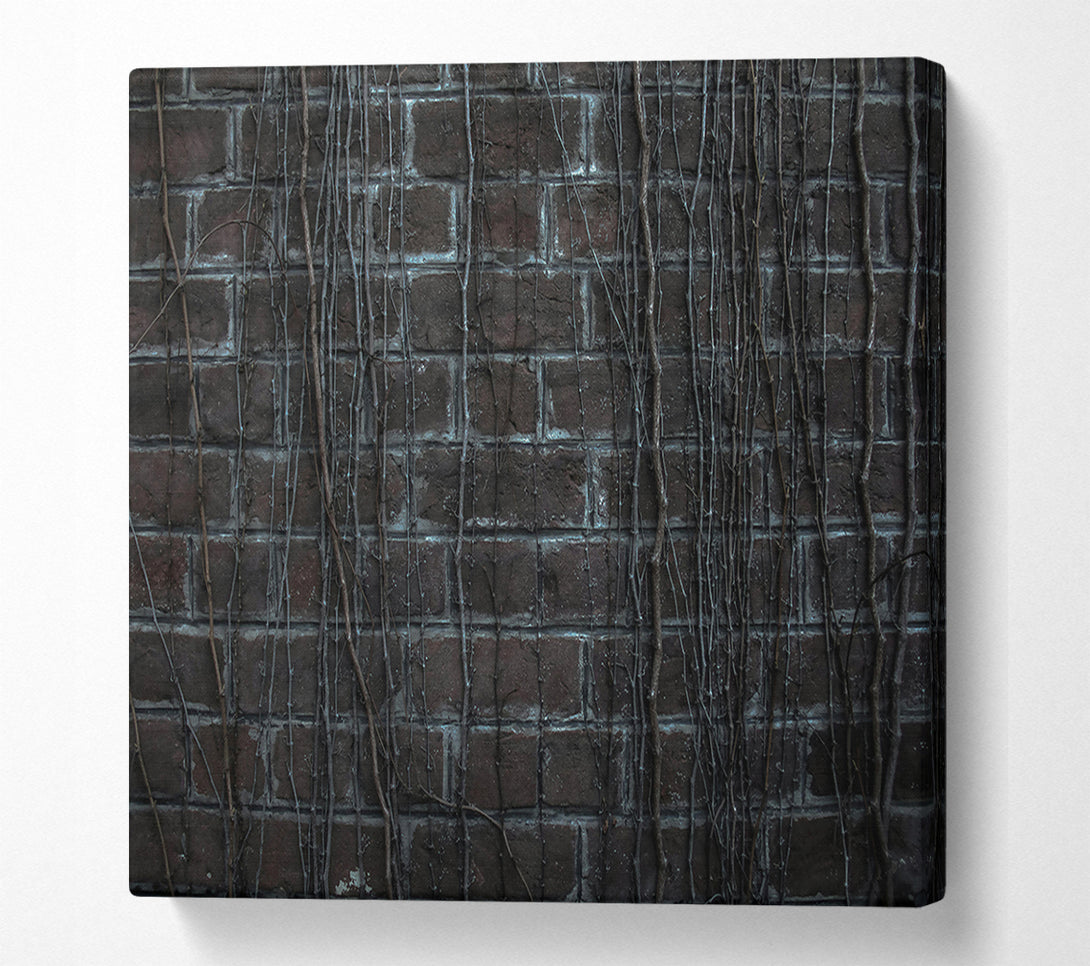  A Canvas Print of Gray Brick Vines Canvas Print