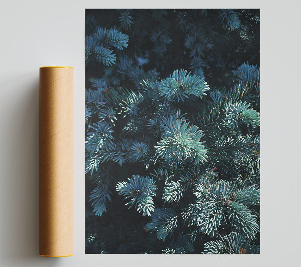Teal Evergreen Embrace Giclee Print