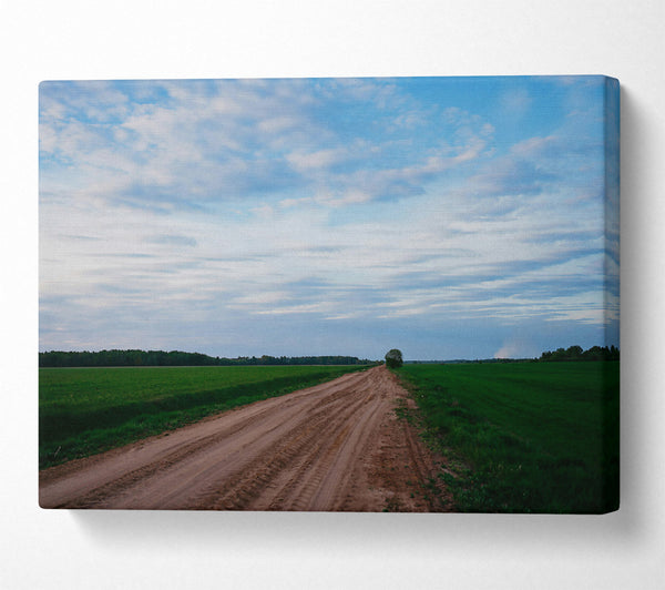  A Canvas Print of Blue Sky Country Road Canvas Wall Art
