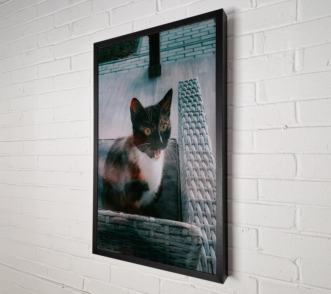  A Canvas Print of Grey Kitty Yawn Canvas Wall Art