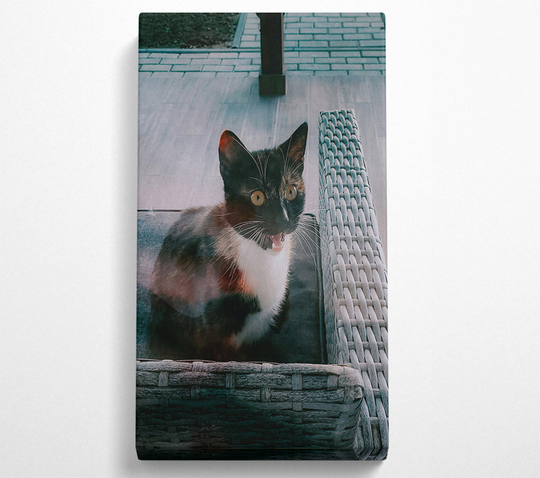  A Canvas Print of Grey Kitty Yawn Canvas Wall Art