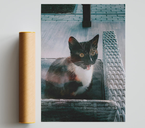 Grey Kitty Yawn Print