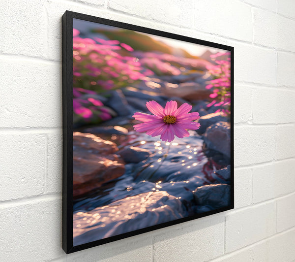 Pink Bloom Over Stream