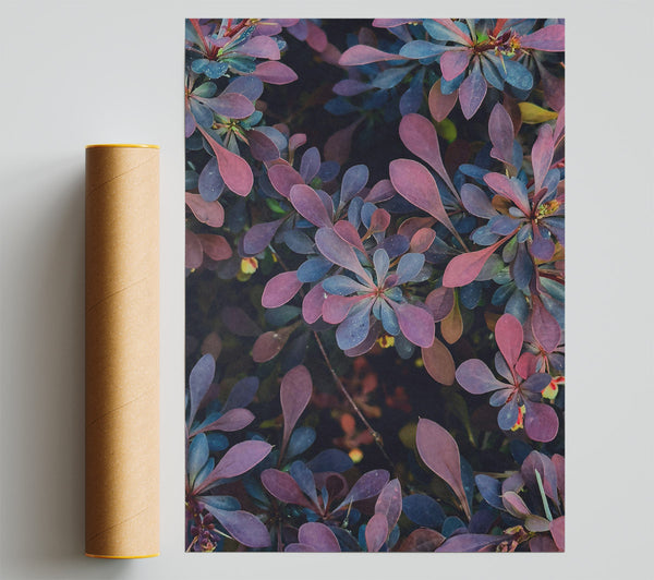 The Deep Purple Bloom Giclee Print