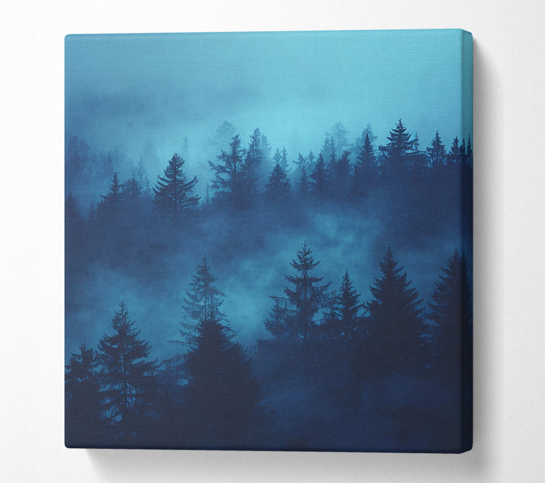  A Canvas Print of Eerie Forest Canvas Print