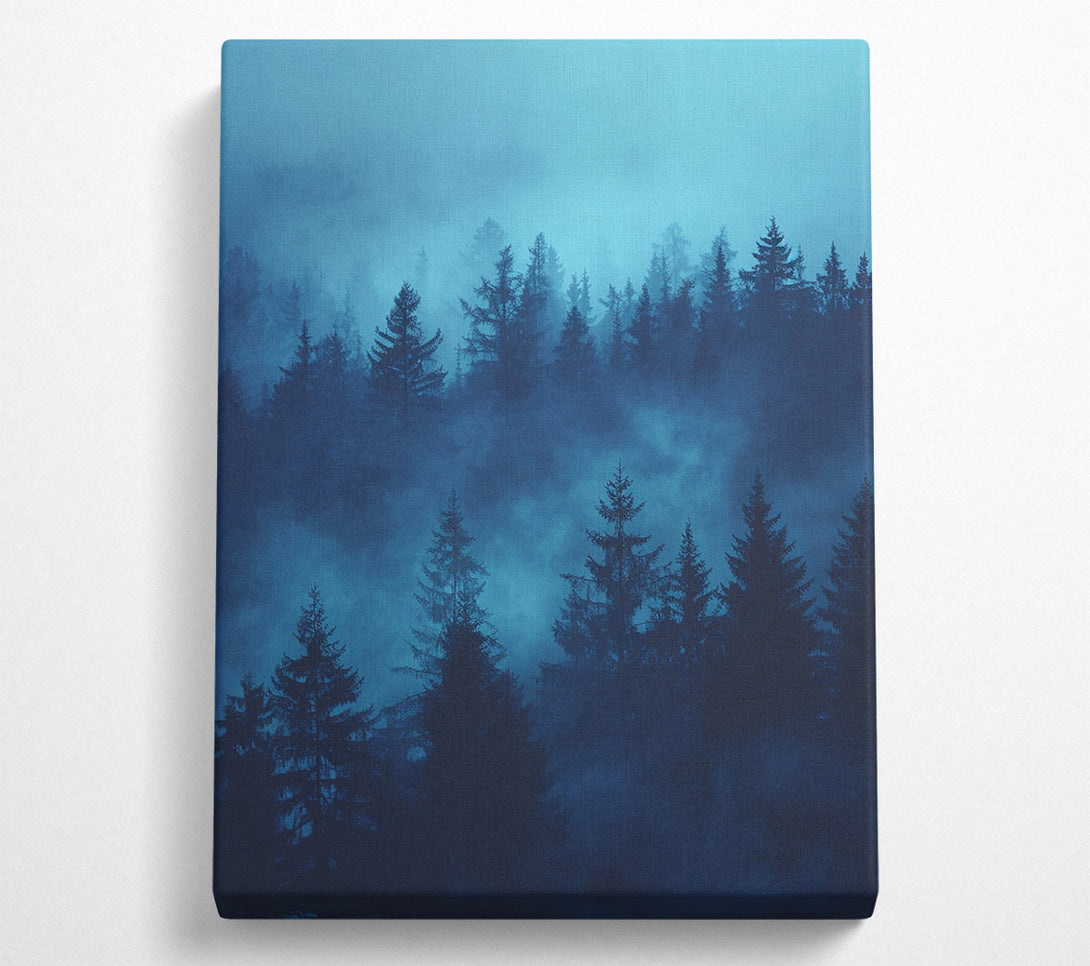  A Canvas Print of Eerie Forest Canvas Print