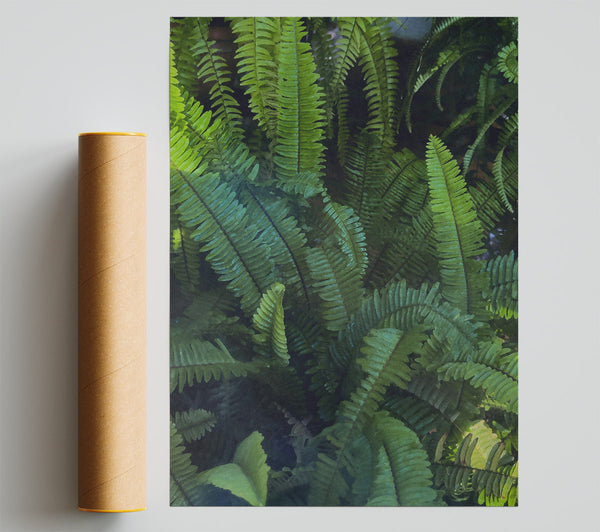 Emerald Fern Forest Print