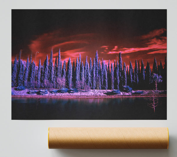 Crimson Cypress Dreams Giclee Print