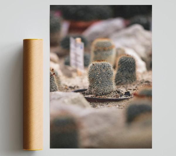 Green Prickly Oasis Giclee Print