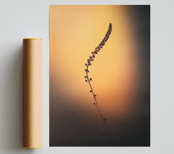 Golden Stem Silhouette Poster