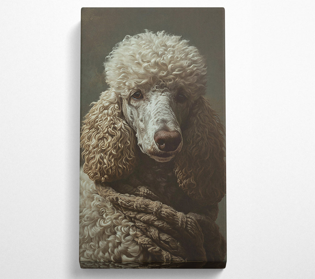  A Canvas Print of Creamy Poodle Portrait Canvas Print