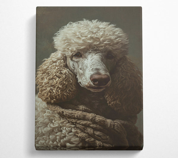  A Canvas Print of Creamy Poodle Portrait Canvas Print
