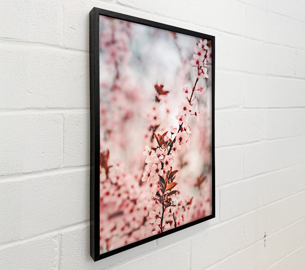 Pink Blossom Branch