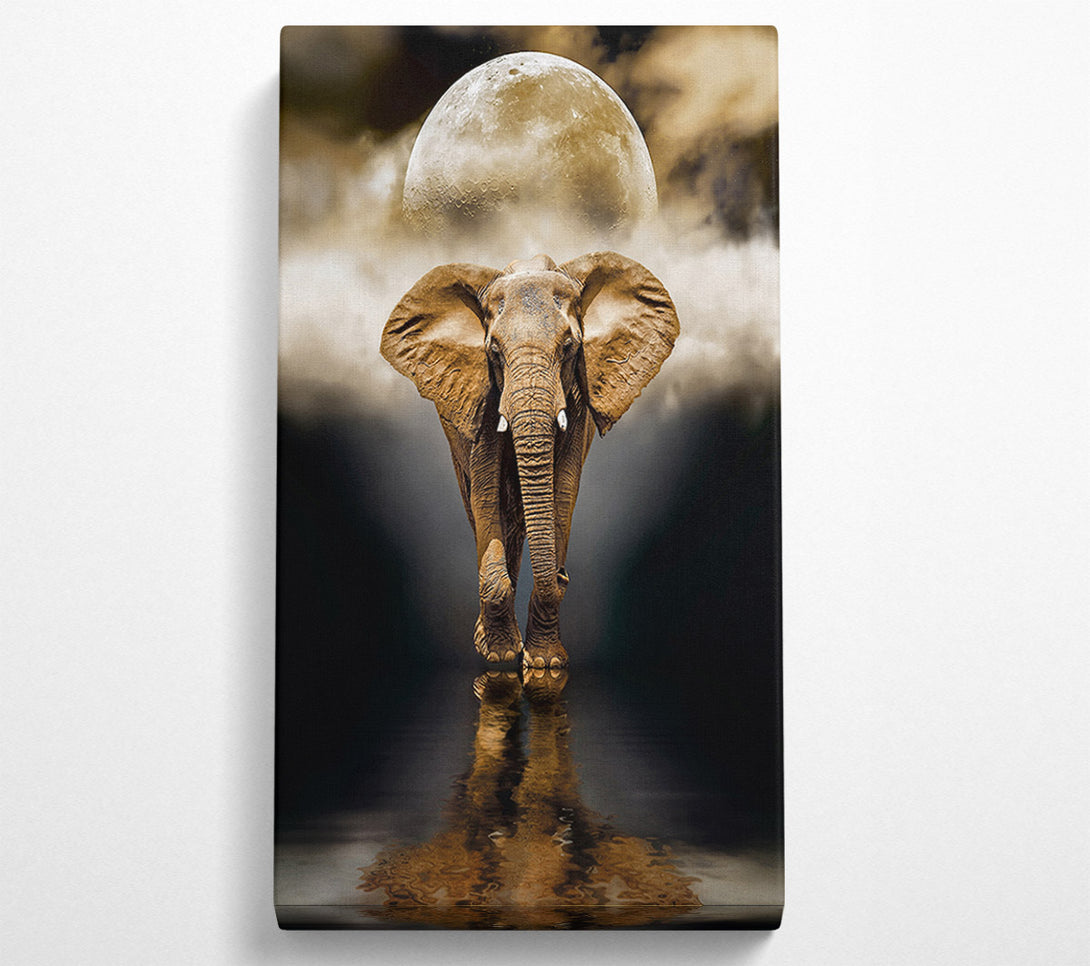  A Canvas Print of Elephant Moon Canvas Art