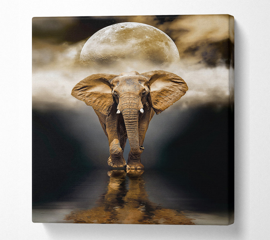  A Canvas Print of Elephant Moon Canvas Art