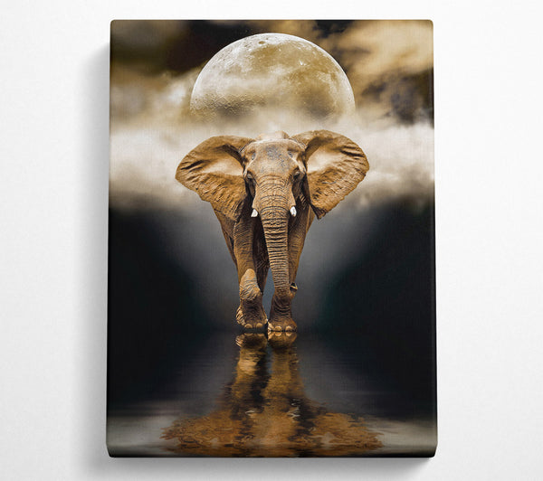  A Canvas Print of Elephant Moon Canvas Art