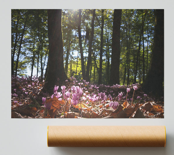 Purple Forest Floor Giclee Print