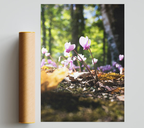 Pink Forest Flowers Poster