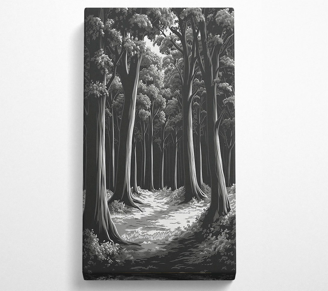  A Canvas Print of Empty Forest Canvas Wall Art