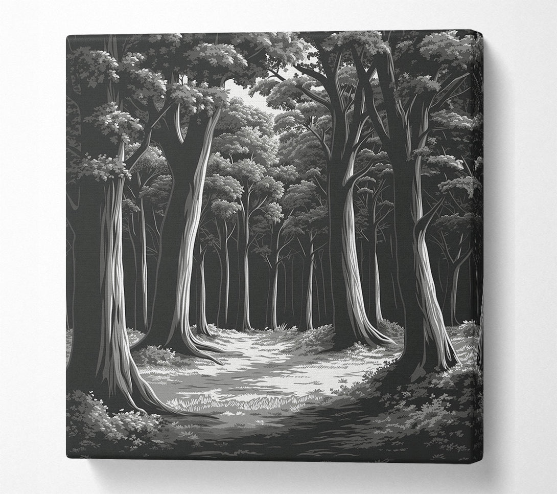  A Canvas Print of Empty Forest Canvas Wall Art