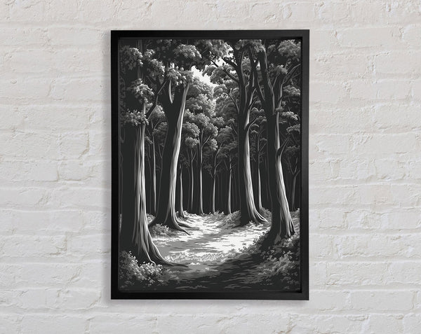 Empty Forest Framed Print