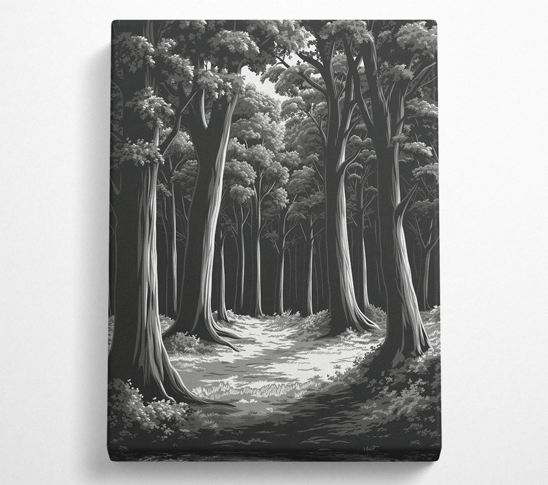  A Canvas Print of Empty Forest Canvas Wall Art