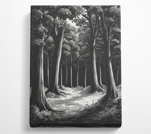  A Canvas Print of Empty Forest Canvas Wall Art