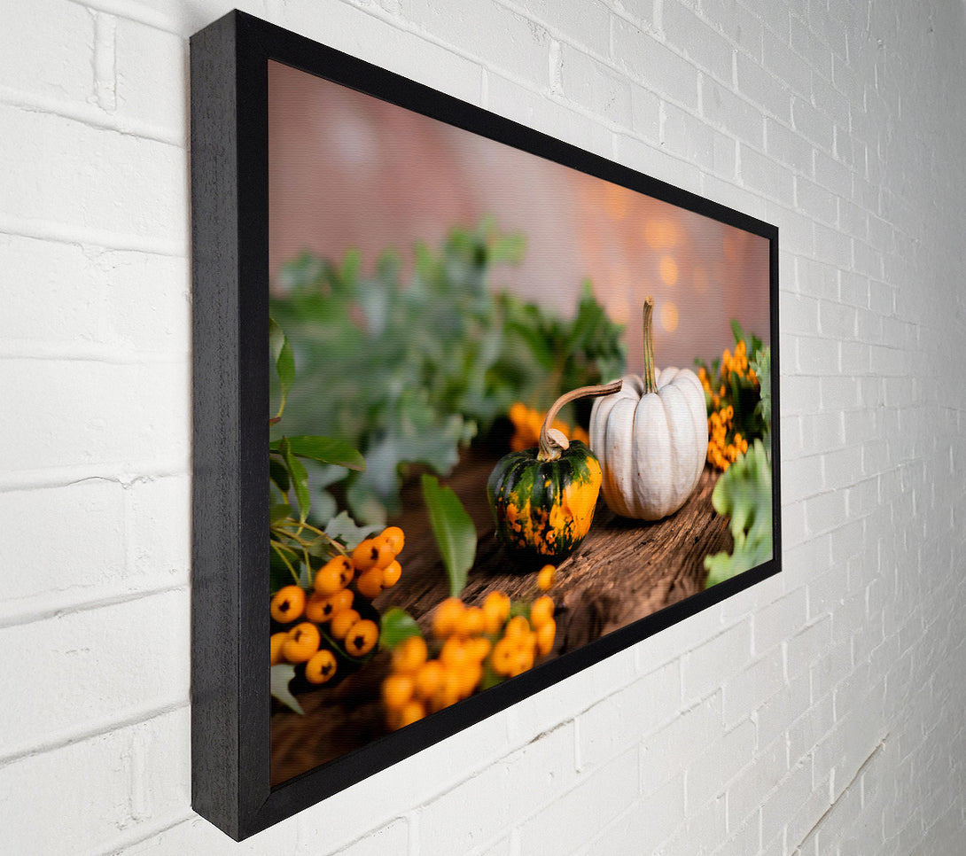  A Canvas Print of White Pumpkin Still Life Canvas Wall Art