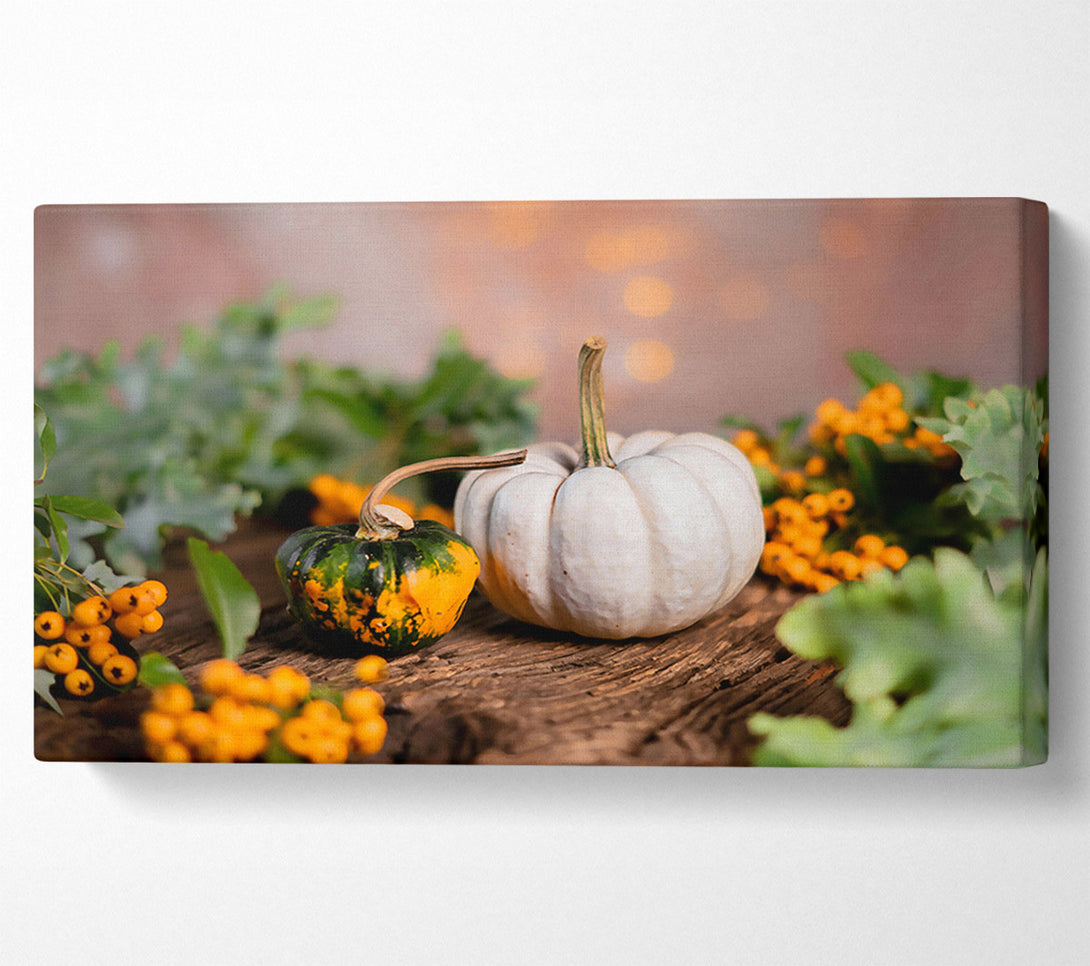  A Canvas Print of White Pumpkin Still Life Canvas Wall Art
