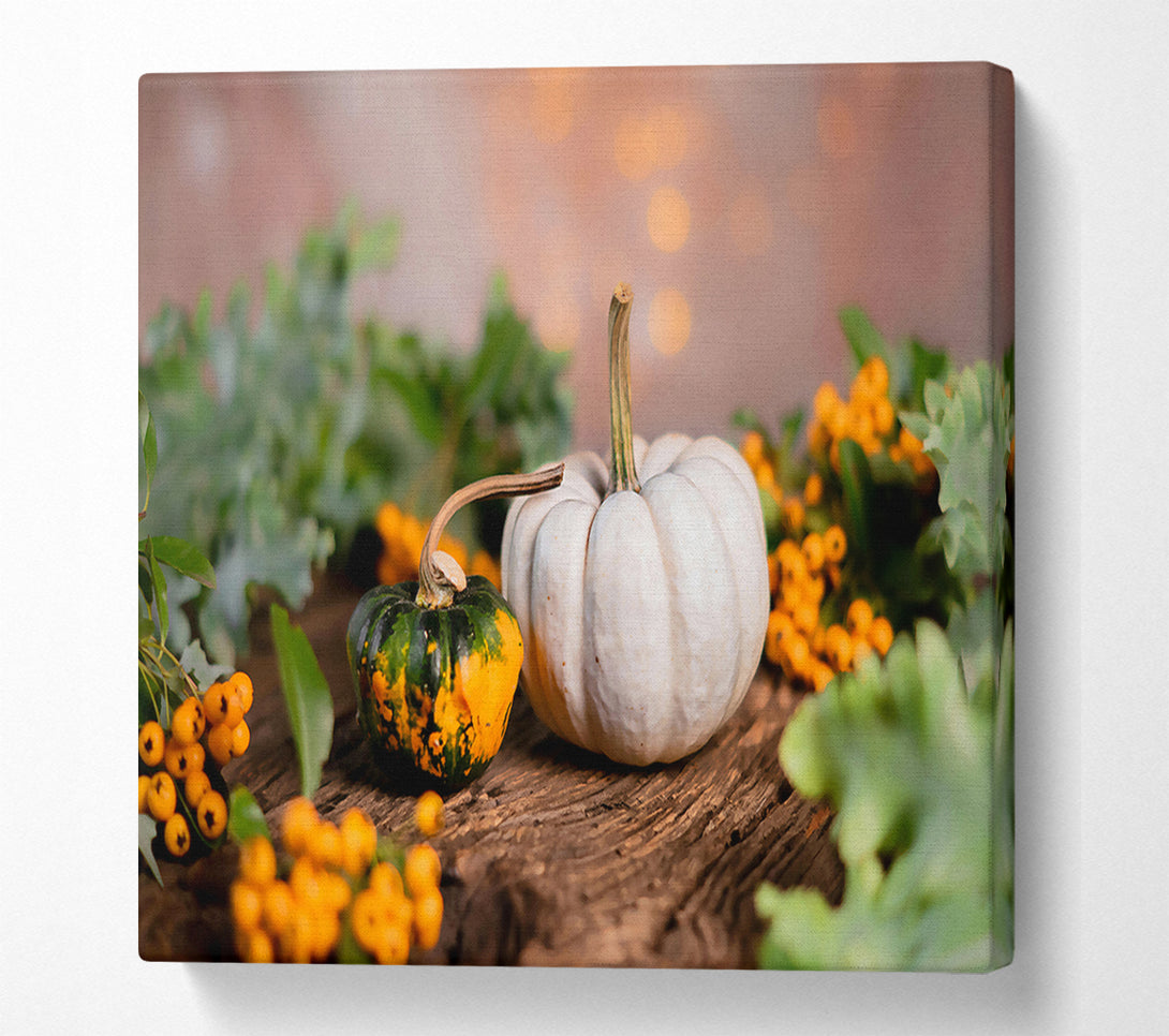  A Canvas Print of White Pumpkin Still Life Canvas Wall Art