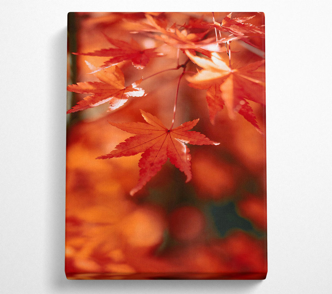  A Canvas Print of Crimson Autumn Leaves Canvas Wall Art