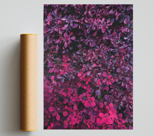 Crimson Velvet Leaves Poster